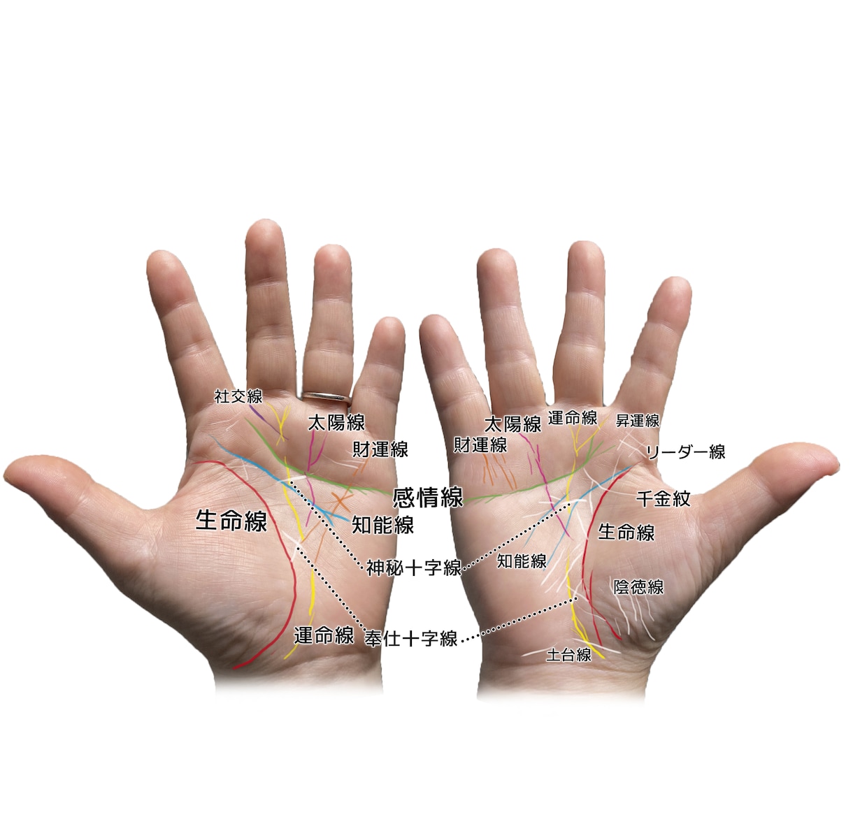手相鑑定します 手相で全体的な運勢や性格、能力や現状を文章でお送りします。 イメージ2