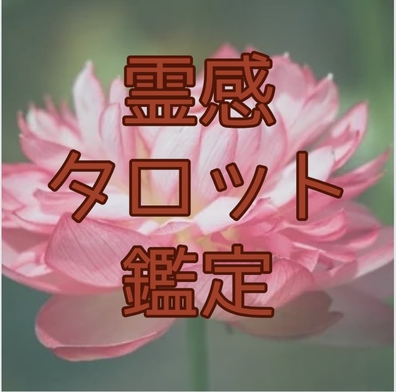 霊感タロット鑑定・丁寧な鑑定であなたの心を癒します お悩み解決のヒントを与え、穏やかになれる時間をお届けします！ イメージ1