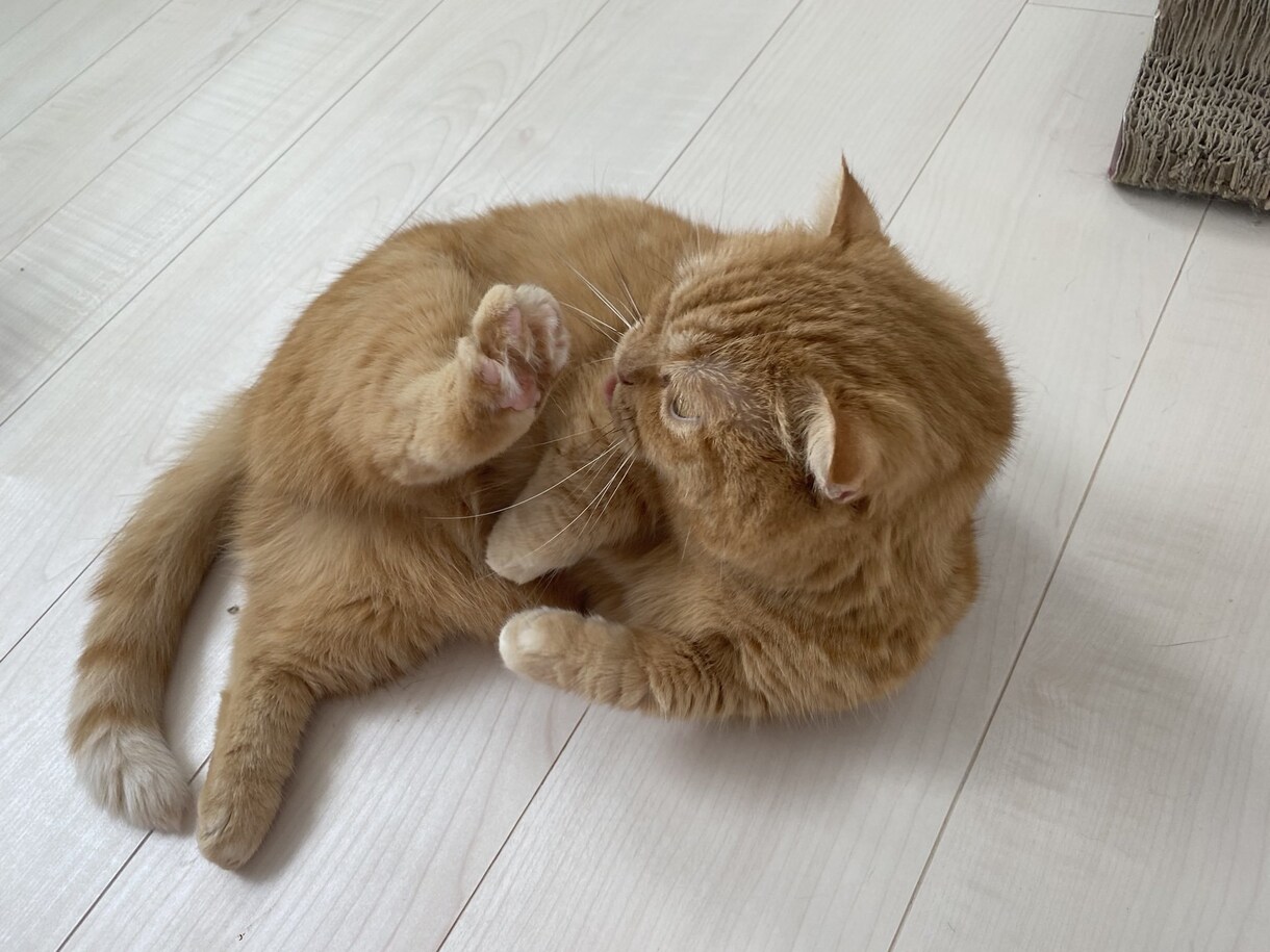 暇つぶし相手にチャットいたします 誰かと話したい、何か話したい、隙間時間潰したい等 イメージ5