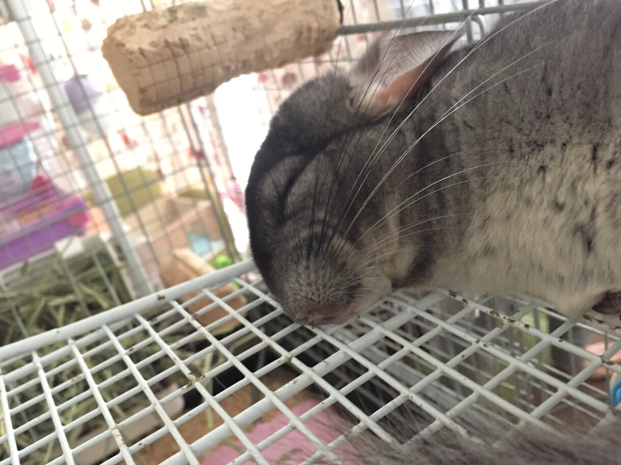 うつ病、受験、恋愛の相談・愚痴聞きます なんでもない相手だからこそ、気兼ねなく話せると思います！ イメージ1