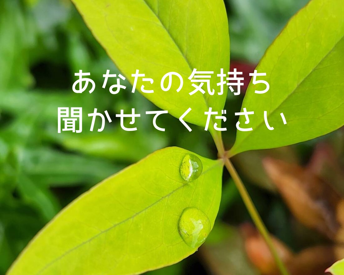 今話しましょ☆頑張ってるあなたの気持ちお聞きします 介護士が全力応援☆心の声に傾聴☘️愚痴☘️雑談☘️仕事☘️ イメージ6