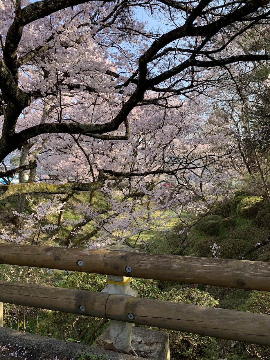 貴方の悩み紳士に受け止めます 千里の道も一歩から。貴方がこの地に生まれたことが第一の奇跡 イメージ1