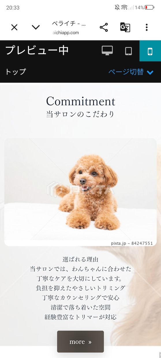 動物病院｜ペットサロン専門LP制作します 信頼され、選ばれ続けるペットサロンへ イメージ6