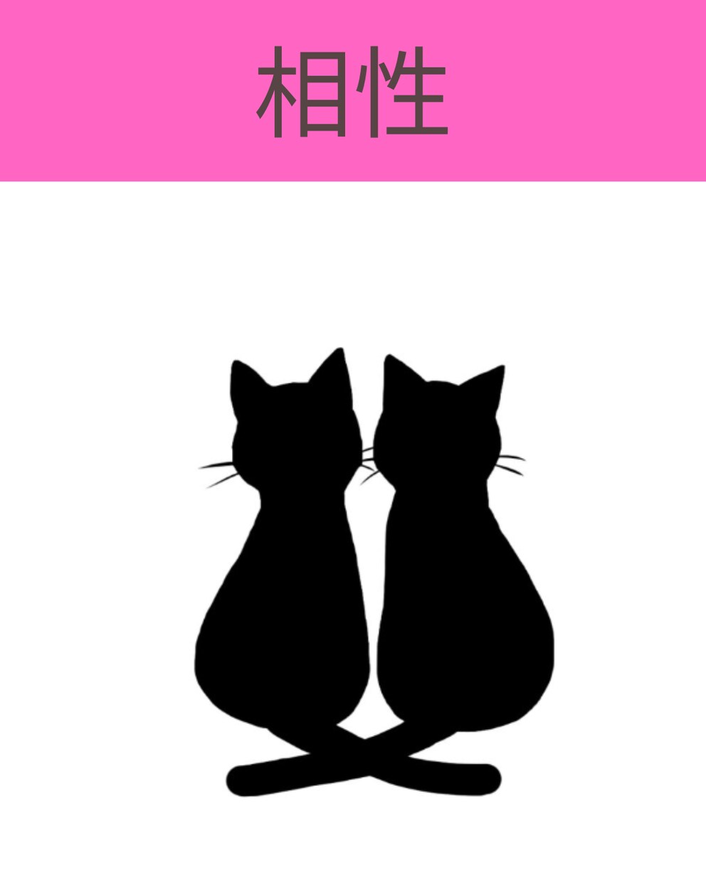相性を西洋占星術で判断します 恋人　夫婦　友達　親子　相性を観てみましょう! イメージ1