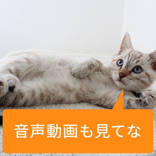 話聞きます。寂しい方、話したい方、誰でも話聞きます 関西弁の若造が、あなたの話を親身に聞きます。 イメージ3