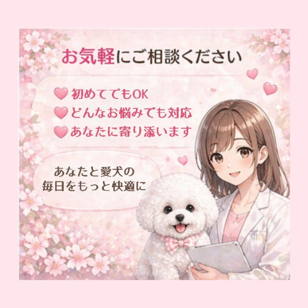 子犬のしつけ・噛み癖・トイレの悩みアドバイスします あなたと愛犬に合った“無理しないしつけ”をご提案します イメージ5