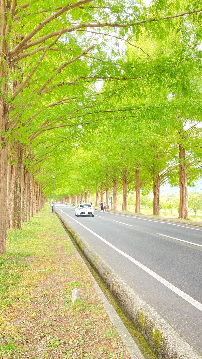 風景写真など、色々な日常で撮った写真を販売します 風景写真などをお探ししてる方におすすめです イメージ9