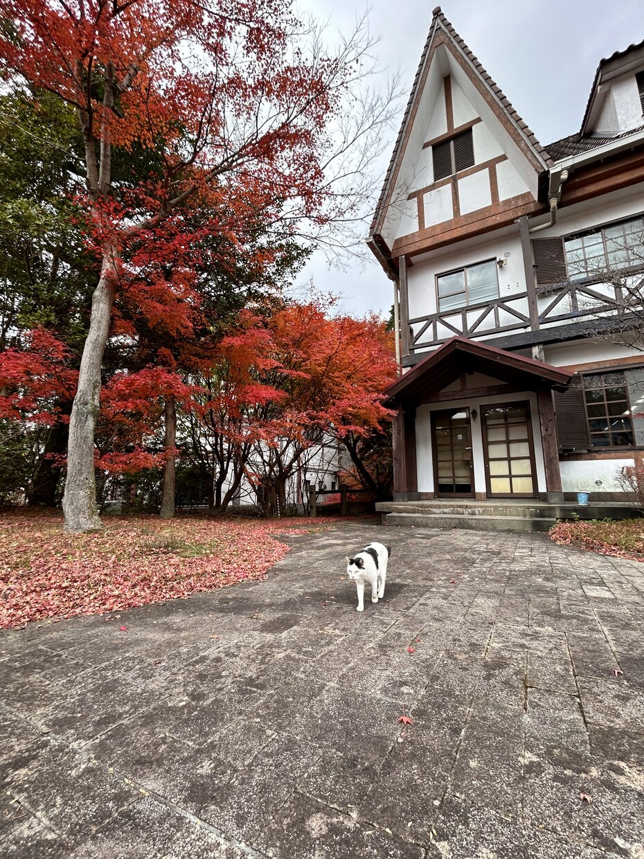 お話をお伺いします いろんな心のモヤモヤの整理をお手伝いします！ イメージ1
