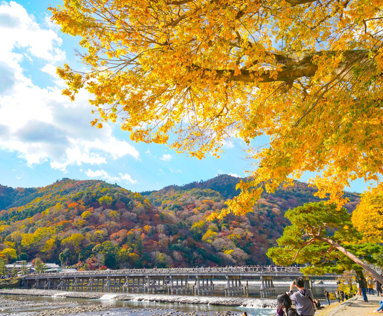 2027本格運勢鑑定｜丁未の年間羅針盤を霊聴します 勝負月と地雷月を解き明かす❖光と影を霊聴し最高の年へ導きます イメージ8