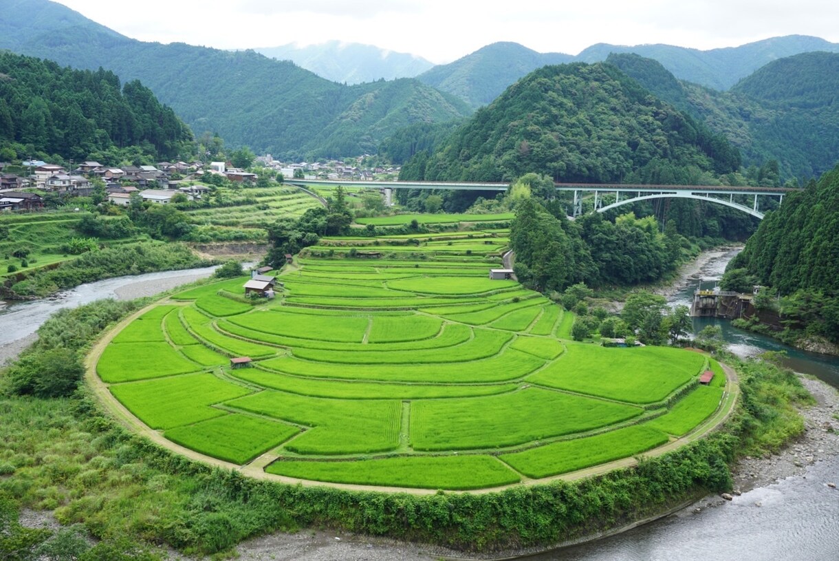 和歌山県の旅行のプランニング致します 和歌山県産まれ、育ちの22歳が1人1人のご要望にお応えします イメージ6