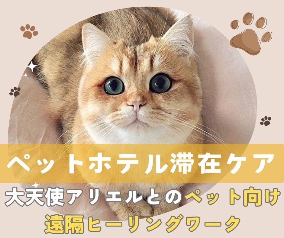 ペットの不安軽減☆ホテル滞在を大天使が守護します ★大天使アリエル★ペットへの遠隔ヒーリングとプロテクション イメージ1