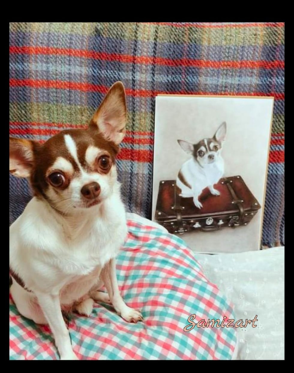 A4サイズ／色鉛筆画を制作いたします ご一緒に大切な思い出を作りませんか？ イメージ4