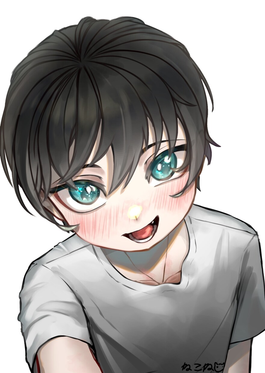 商用利用可　男性キャライラスト描きます サムネイルや歌ってみた用イラストや鑑賞用などに使えます。 イメージ2
