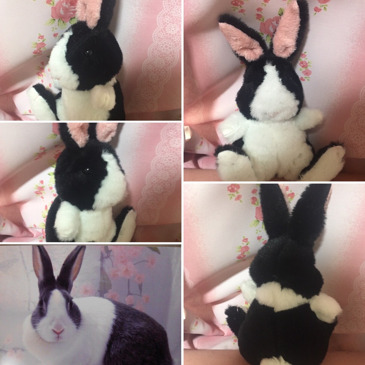 ペットのぬいぐるみ作ります 大切なペットのぬいぐるみをお作りします！ イメージ2