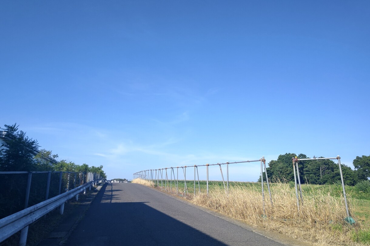 アイコンや壁紙等に使える写真を撮ります 安くお写真を手に入れたい人におすすめです。 イメージ3