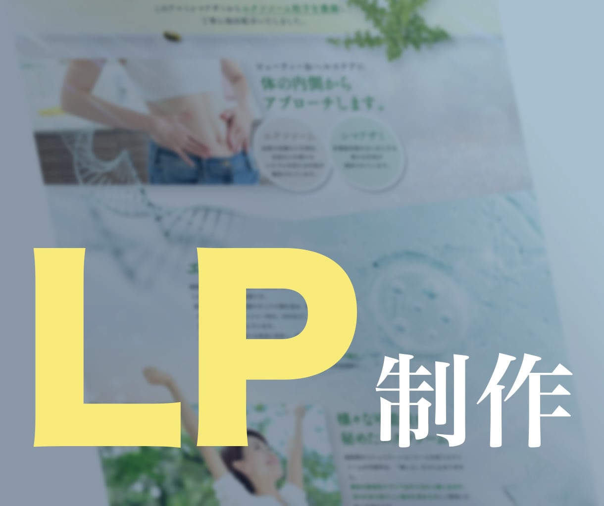 新規様特価！結果重視！短納期でLP量産いたします A/Bテスト用LPも一括制作可能です！同時購入で割引あり！ イメージ3