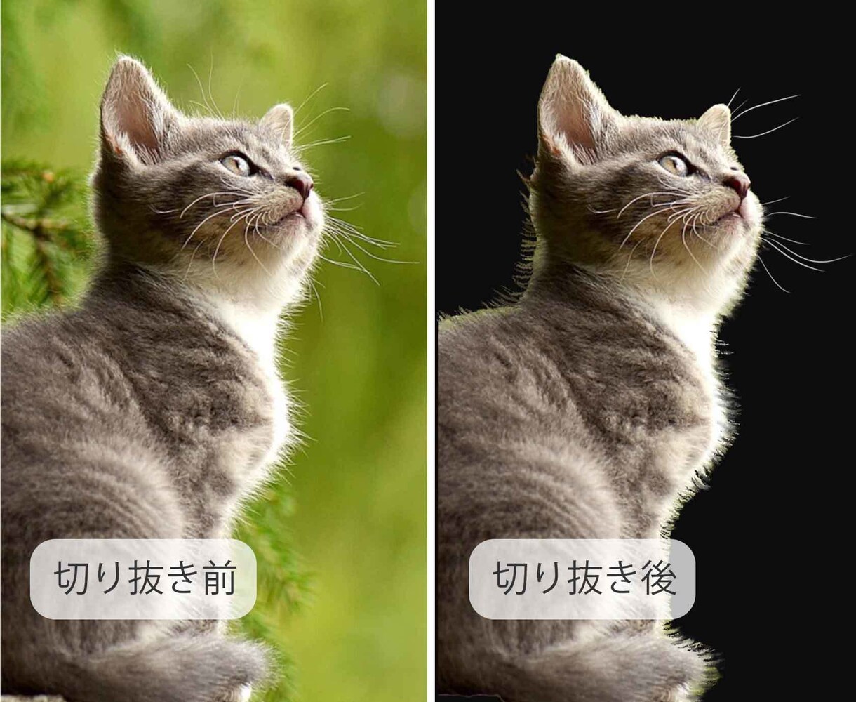 Photoshop画像編集承ります ★ご購入前にサンプル制作いたします★細部まで丁寧に仕上げます イメージ3