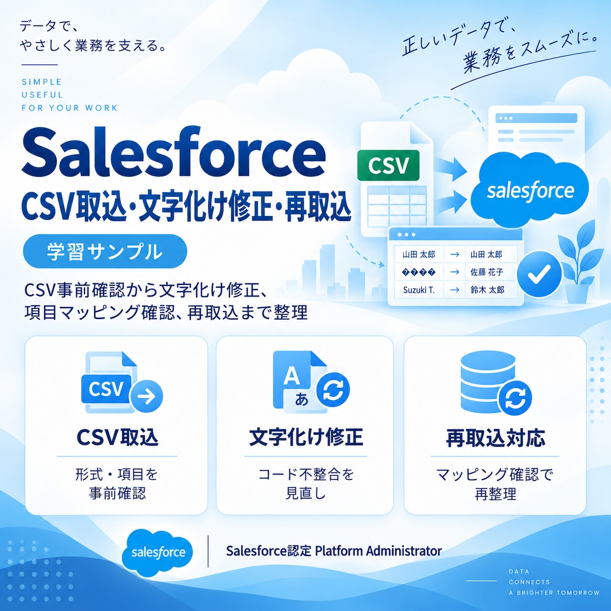 SalesforceのCSV取込を支援します CSV取込やデータ整備を丁寧に支援します イメージ1