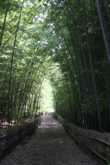世間話しや愚痴お聞きます どんなお話しでもお聞きします。お待ちしてます。 イメージ2