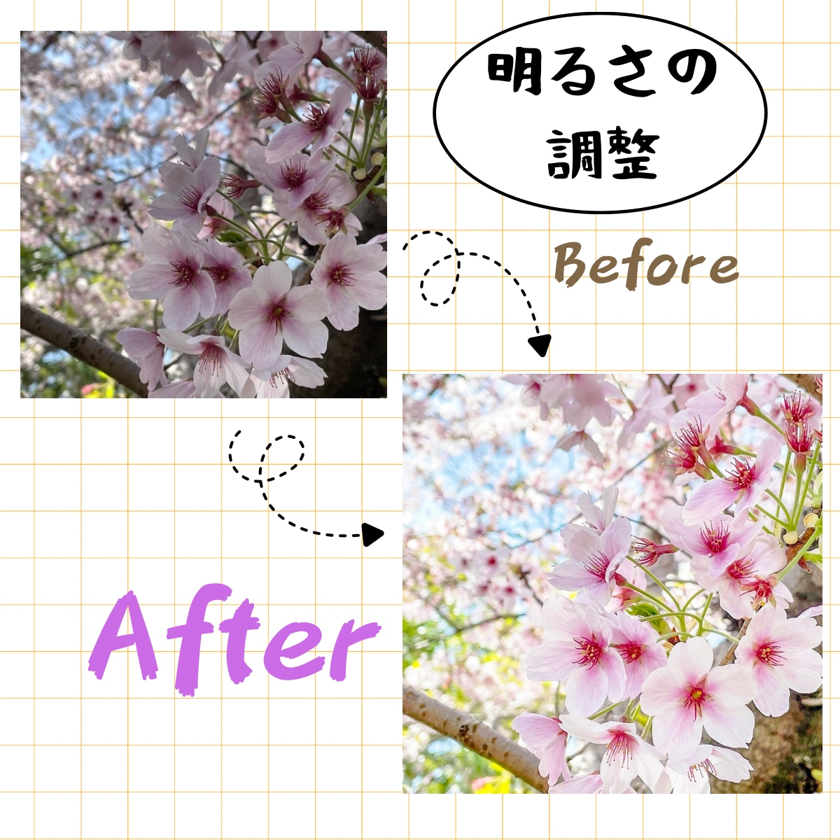 画像の明るさや背景の変更を行います 明るいふんわりした雰囲気の画像編集をお求めの方へ イメージ1