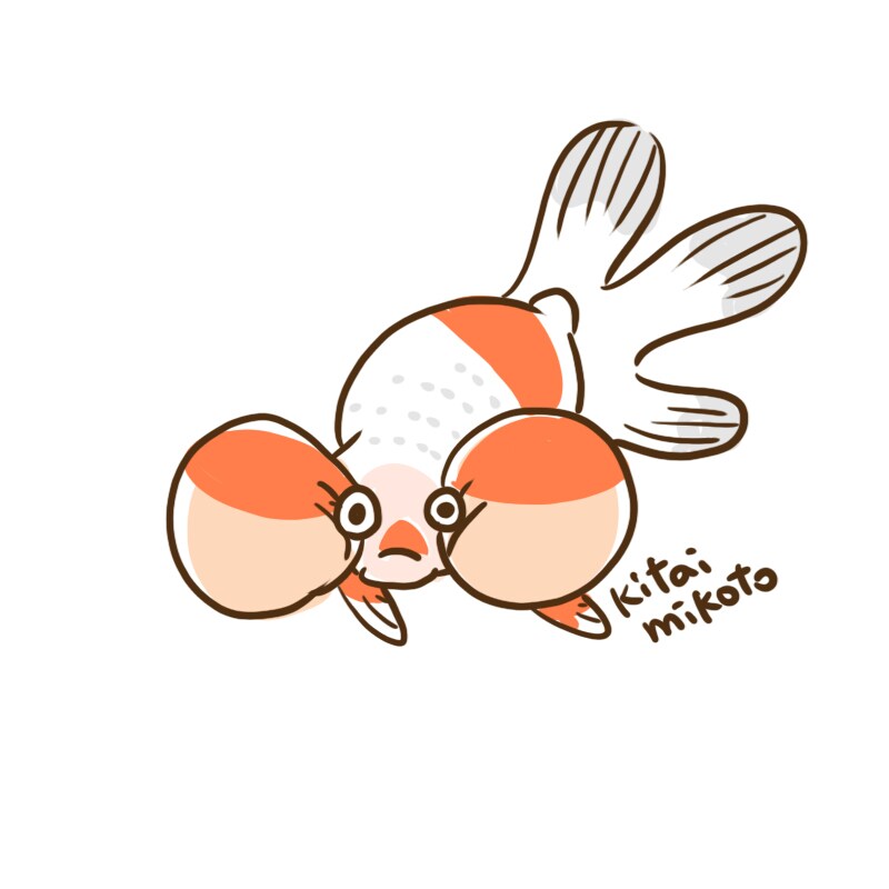 あなたのペット金魚ちゃんのイラスト描きます あなたの金魚ちゃんを可愛いキャラクターにします イメージ2