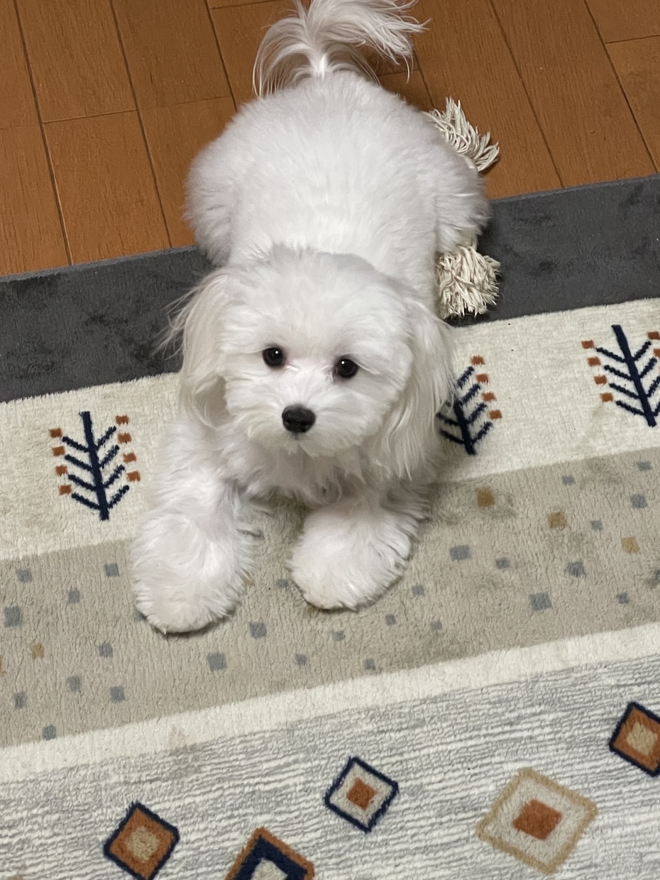 とにかく誰かと話したい時、お付き合いします 5分から、気が済むまで話してくれてイイですよ(^ ^) イメージ5