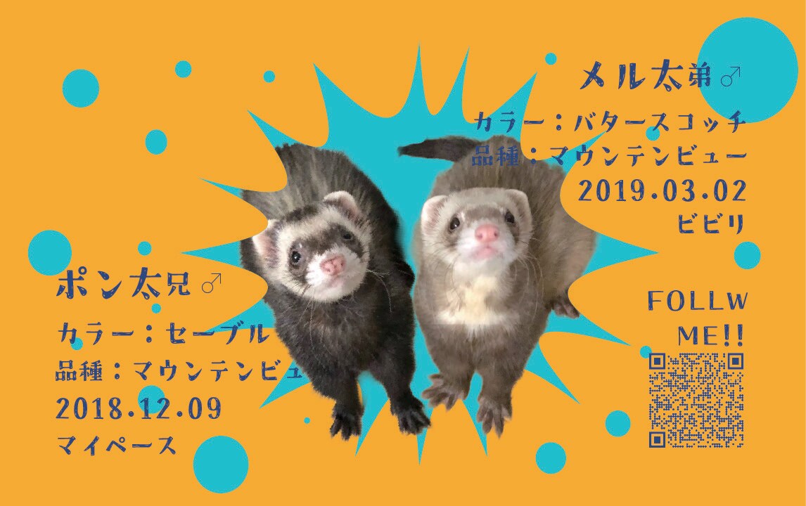 我が子(ペット)の名刺を作ります 我が子名刺(犬猫鳥ハム等)をお作りします！ イメージ3