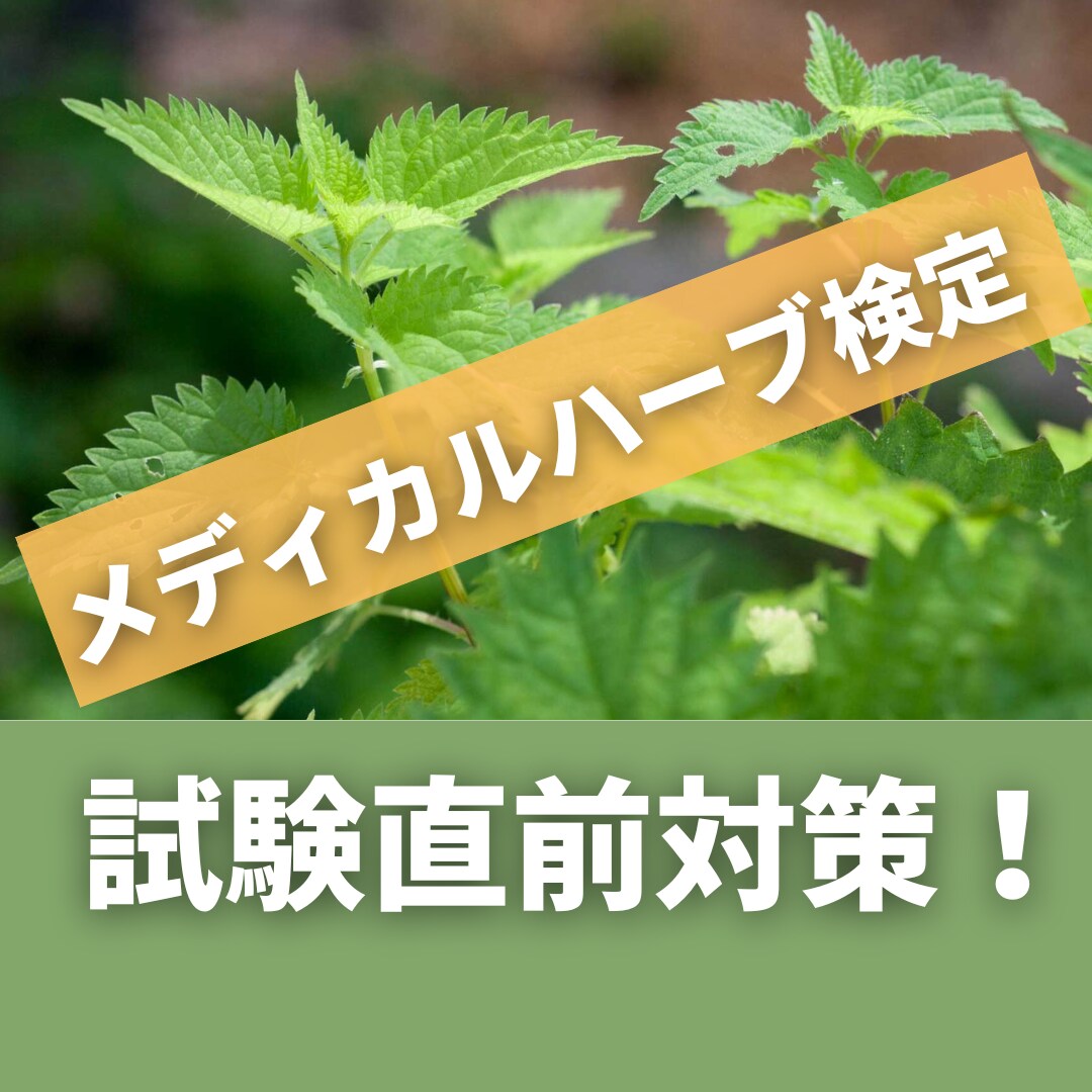 メディカルハーブ検定 試験直前サポートします 本番同様のオリジナル模擬テスト60問で腕試しください イメージ1