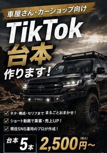 車屋向けTikTok台本を5本作成します 「SNSのネタ切れ解決！車の魅力を伝える台本を作成」 イメージ2