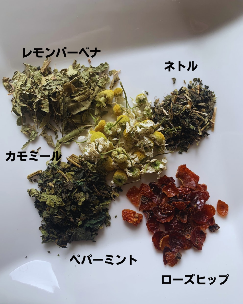 たった5種のハーブだけで作る実践ブレンド提案します 不調に振り回されない毎日を送れるレシピ イメージ2