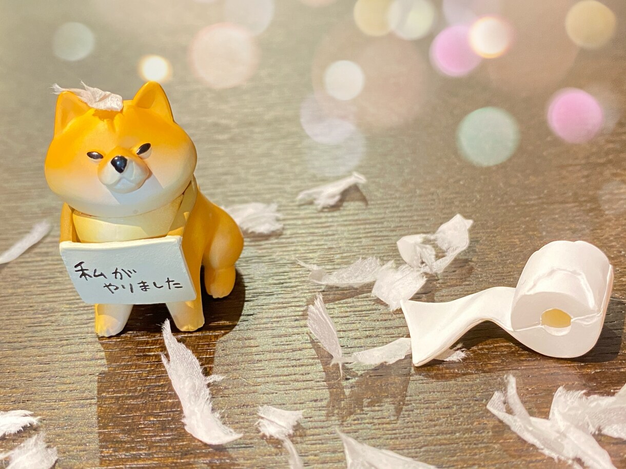 ただ誰かと話したいな～な時、お話相手します 暇な時、寂しい時、勝利報告したい時、失恋した時、自慢したい時 イメージ2