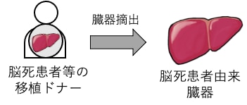 発表スライドのイメージをイラスト化します 載せたい情報をイラスト化することで完成度の高いスライドに！ イメージ2