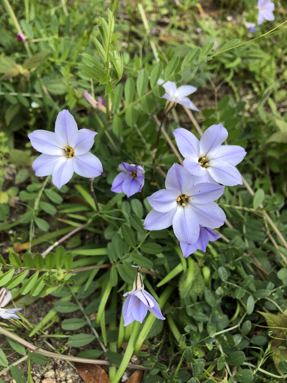 いつでも♡お話聞きます どんなことでもお聞かせください^_^ イメージ1