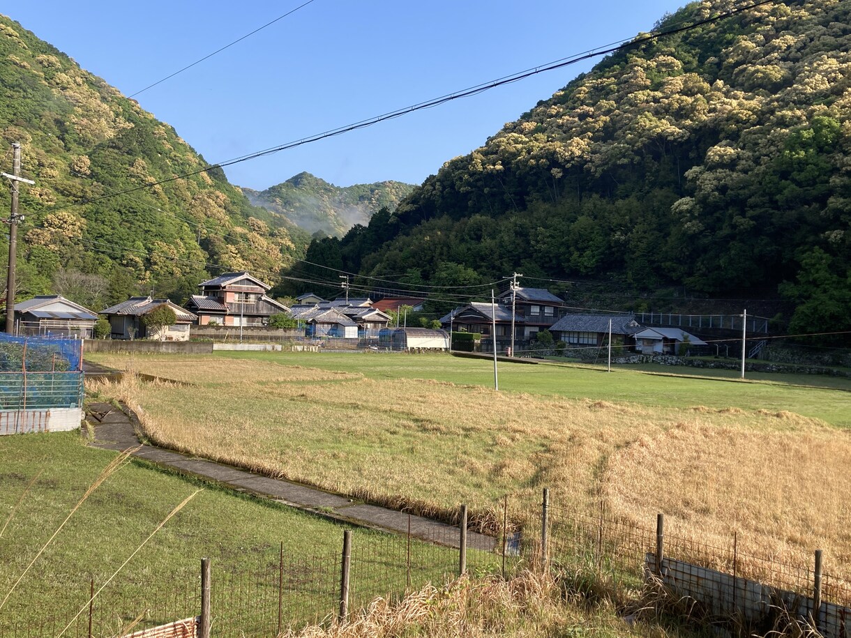 和歌山県への移住・二拠点生活の相談に乗ります Iターン当事者として現地から生の声をお届けします イメージ3