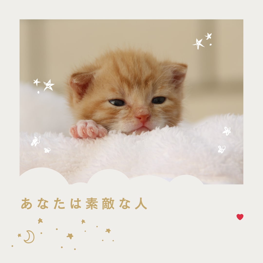 生きづらいHSPさんの才能を活かした仕事みつけます 仕事/緊張/不満/モヤモヤ/AC/繊細/不安/自己肯定感 イメージ6