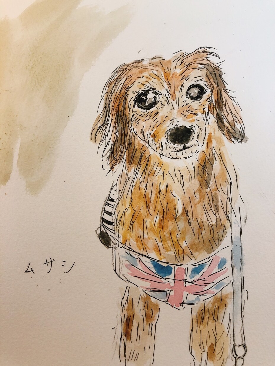 あなたの大切なペットのイラスト描きます 水彩のイラストでかわいいペットのイラスト等を描きます。 イメージ4