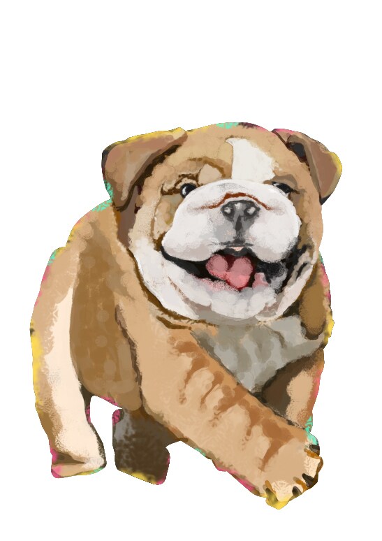 オシャレ★リアル【動物・ペットの似顔絵】描きます 可愛いペットを★オシャレ★なイラストに!! イメージ2