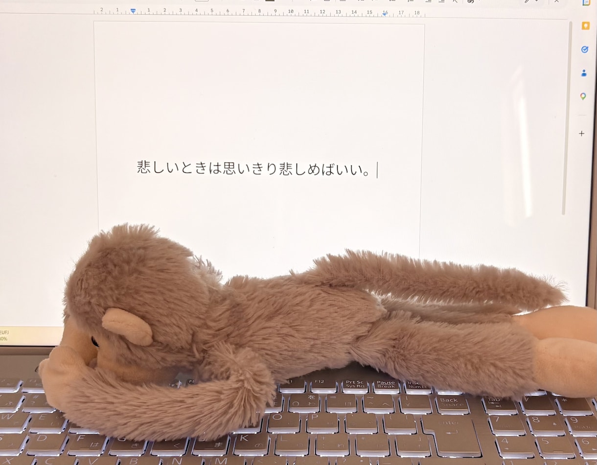 パニック発作や不安感のある瞬間に寄り添います 心理カウンセラー×パニック障害経験者が苦しみを共有します✿ イメージ5