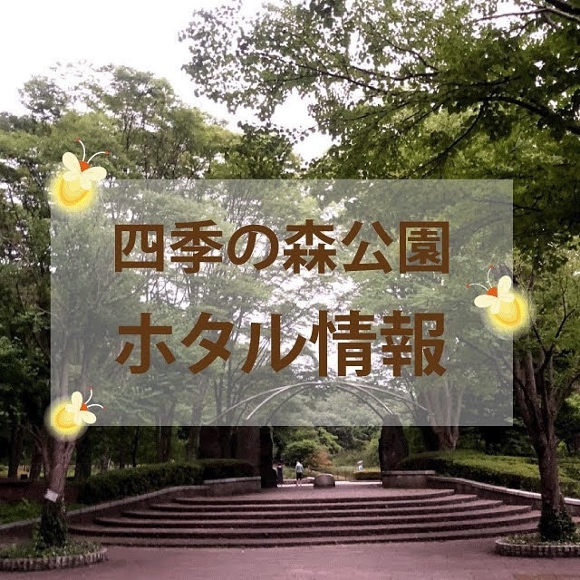 目に留まるインスタ投稿画像を作成します SNSで新商品やキャンペーンを告知したい方へ イメージ7
