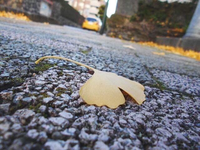 本当の自分を一緒に探します あなたは今の自分が好きですか？ イメージ1