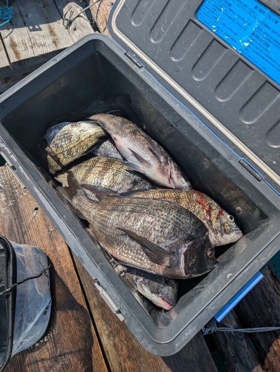 磯・筏釣りの悩みを聞きながら釣りを一緒に組立てます 釣れない原因を整理して釣り方を一緒に考えます イメージ1