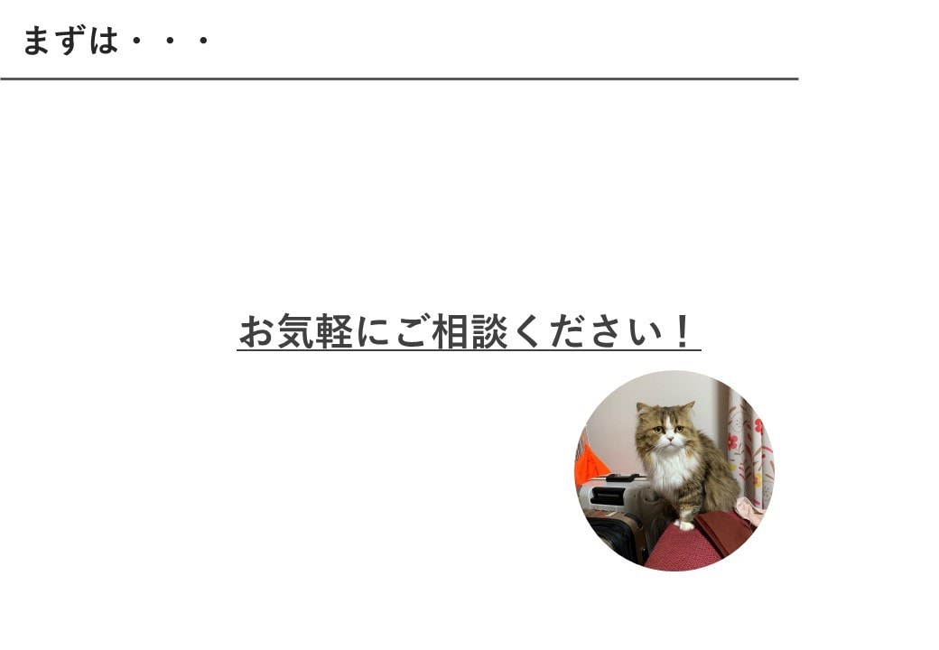 大手企業社員が洗練されたパワーポイント資料作ります 綺麗で見やすい『伝わる』資料を作ります！ イメージ10