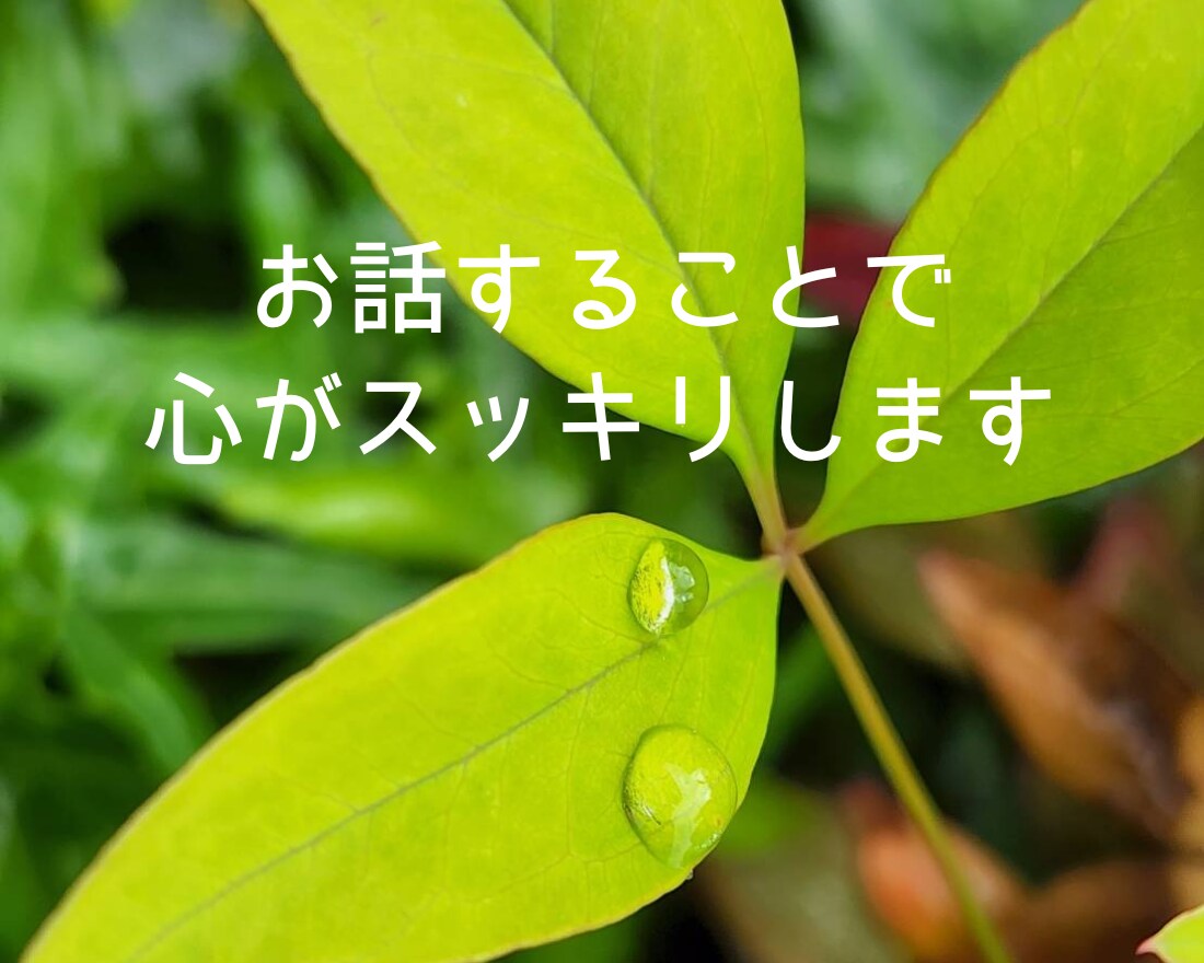 今話しましょ☆頑張ってるあなたの気持ちお聞きします 介護士が全力応援☆心の声に傾聴☘️愚痴☘️雑談☘️仕事☘️ イメージ8