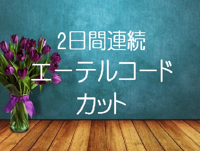 2日間エーテルコードカットします ★★修復もします&一言メッセージ付き イメージ1