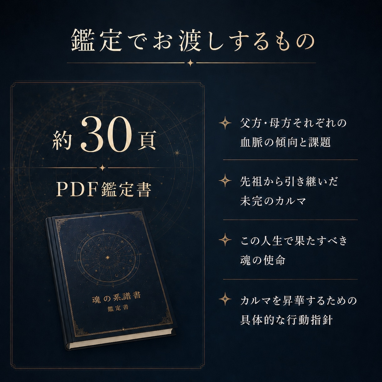 魂の系譜書✧先祖と家系の宿命を本格鑑定します 父方・母方の血脈に眠る魂の記憶を約30頁で完全解読 イメージ5
