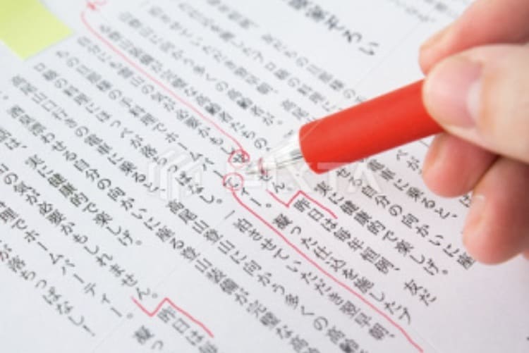 HP・ブログ・記事の文章校正します 念のため第三者に文章をチェックしてほしいと思っているあなたへ イメージ1