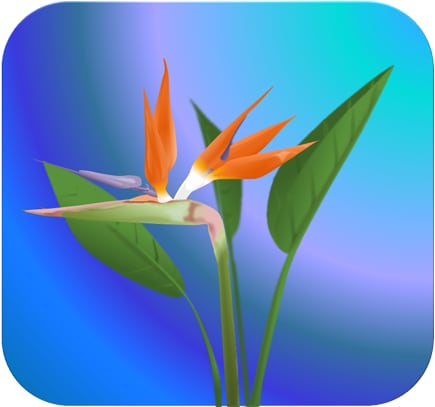 あなたのお写真・絵をSVG、pdfで描き直します ベクター画像なので拡大しても美しいままです イメージ2