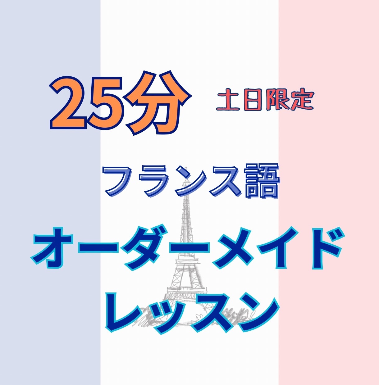 25分フランス語オーダーメイドレッスンします 仏在住お母ちゃん（仏検1級•C1）のリアルなフランス語 イメージ1