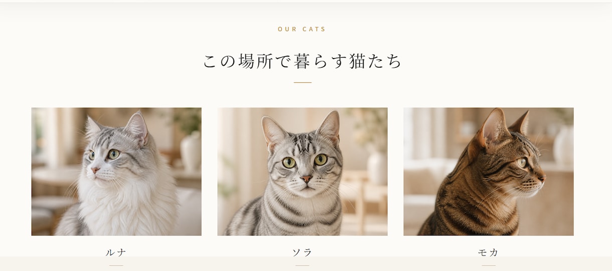 小規模店舗向けWebサイトを制作します スマホで見やすく魅力が伝わるサイトを丁寧に作ります イメージ3