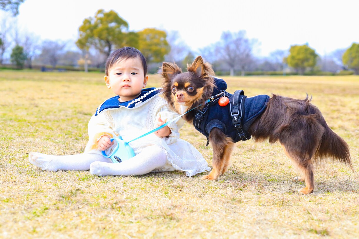 愛知県でのお子様やご家族の出張写真撮影を承ります 全カット納品！大手写真撮影受託会社契約カメラマンが撮影！ イメージ7
